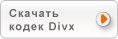   DivX